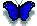 farfalla2